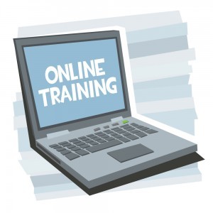 Online course or offline course?